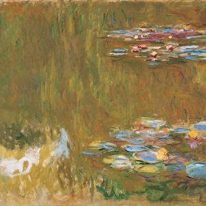 The Water Lily Pond