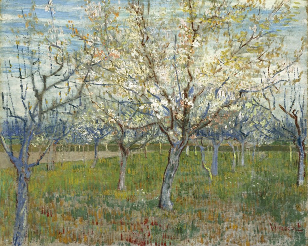 The Pink Orchard