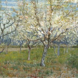 The Pink Orchard