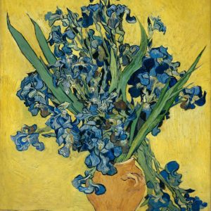 Vase with Irises Against a Yellow Background