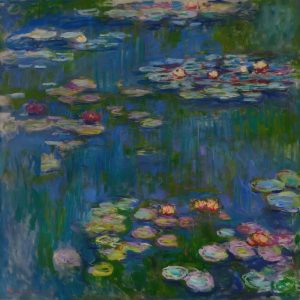 Water Lilies