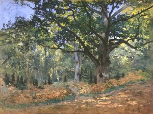 The Bodmer Oak