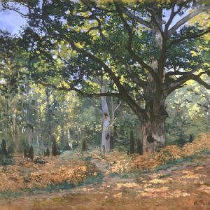 The Bodmer Oak