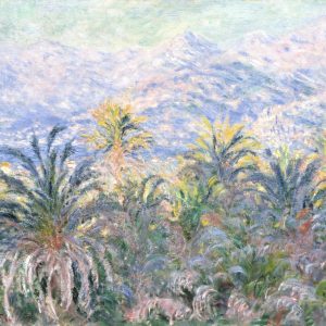 Palm Trees at Bordighera