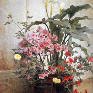 Side of a Greenhouse