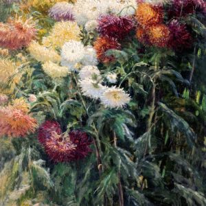 Chrysanthemums in the Garden