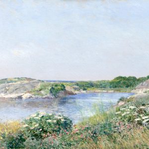 The Little Pond, Appledore
