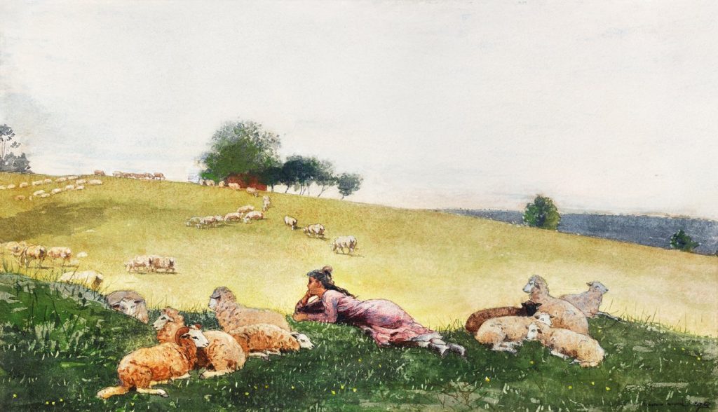 Shepherdess of Houghton Farm