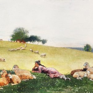Shepherdess of Houghton Farm