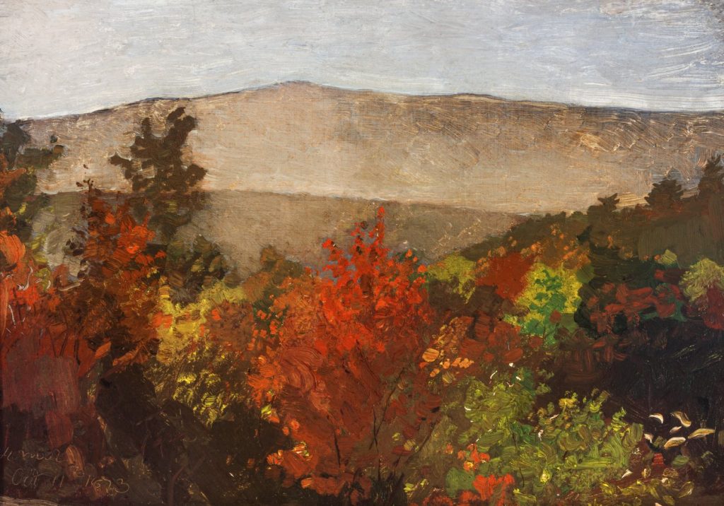 Autumn Tree Tops