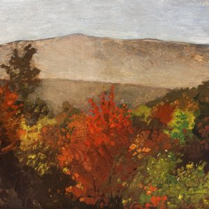 Autumn Tree Tops
