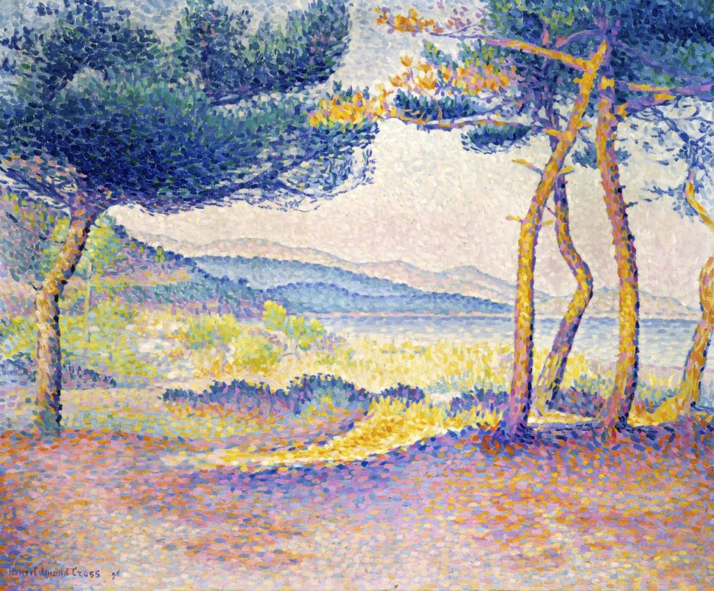 Pines Along the Shore