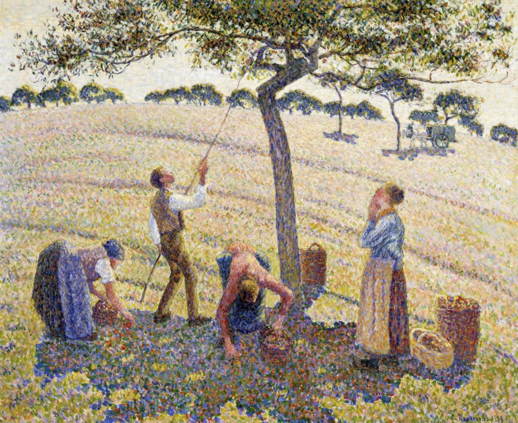 Apple Picking