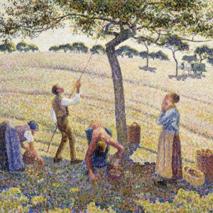 Apple Picking