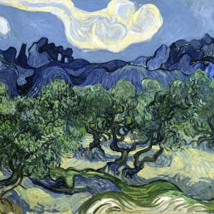 The Olive Trees
