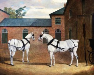 Grey Carriage Horses in the Coachyard at Putteridge Bury, Hertfordshire