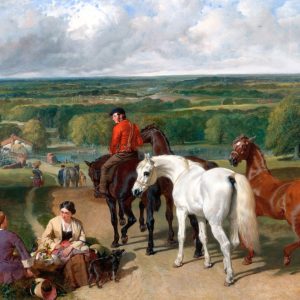 Exercising the Royal Horses