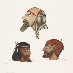 Profile Heads (plate)