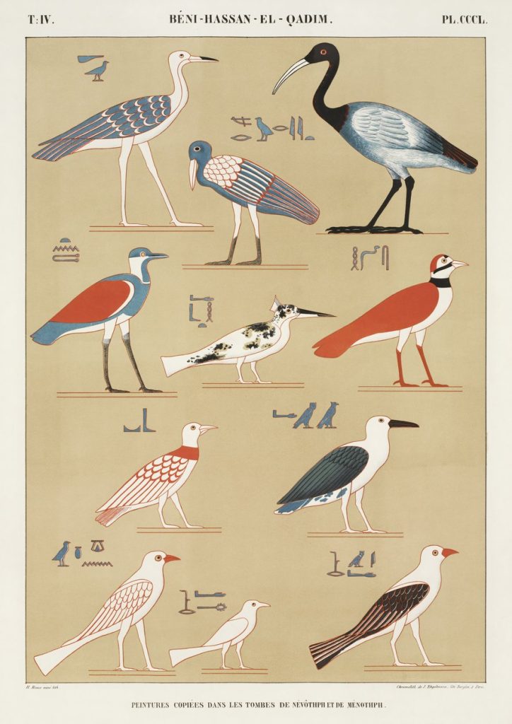 Birds (plate)