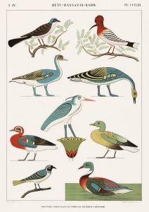 Birds II (plate)