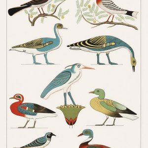 Birds II (plate)