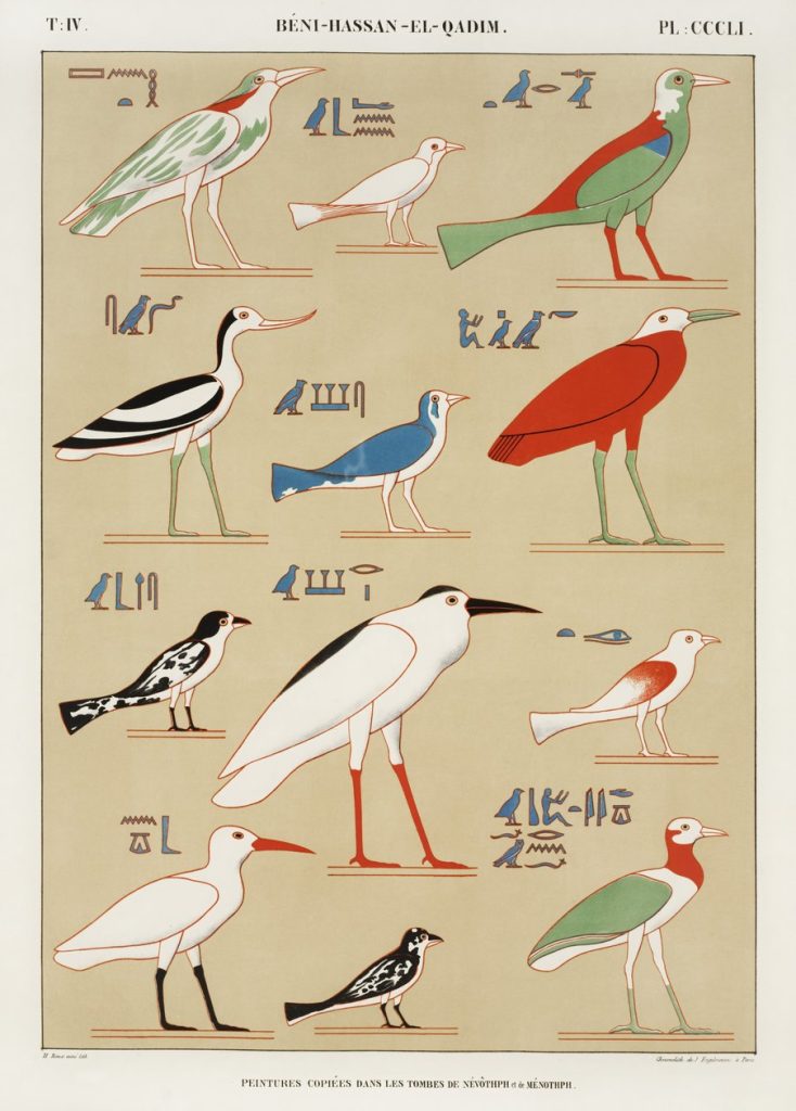 Birds III (plate)