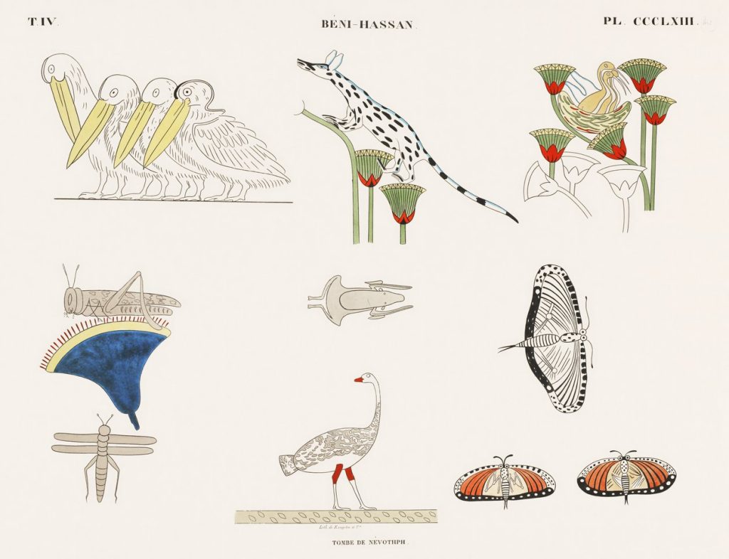 Animals and Objects (plate)