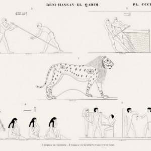Leopard and Animals (plate)