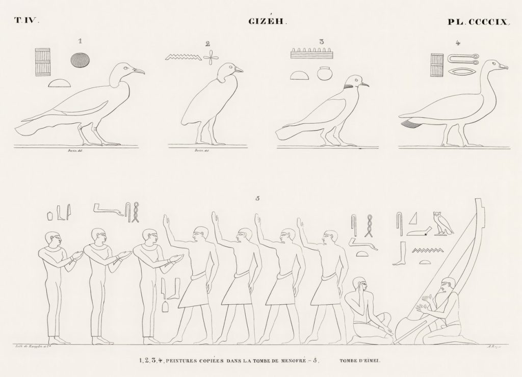 Birds and Objects (line plate)
