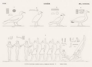 Birds and Objects (line plate)