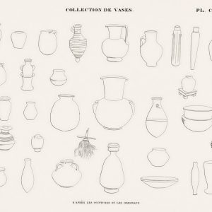 Collection of Vases (plate)