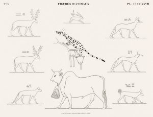 Animals: Giraffe and Cattle (plate)