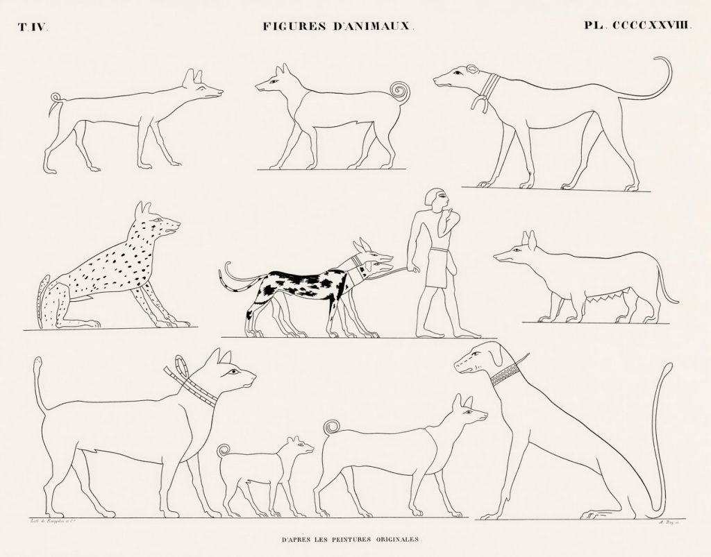 Animals: Dogs (line plate)