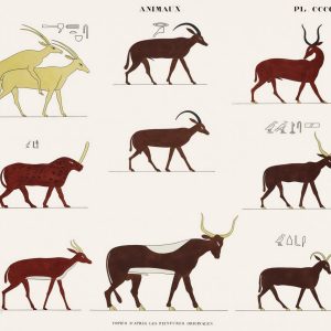 Antelopes and Cattle (plate)