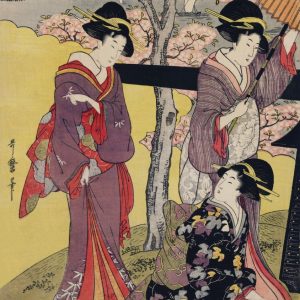 Women under Cherry Blossom