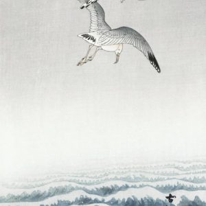 Seagulls Over the Waves