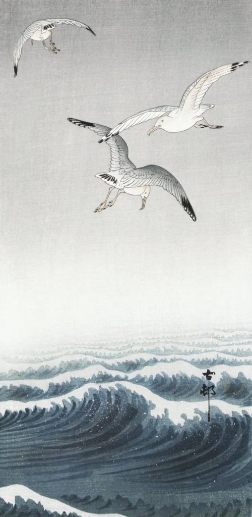 Seagulls over a Wave