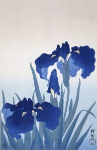 Irises