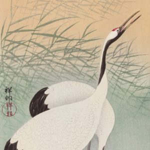 Cranes