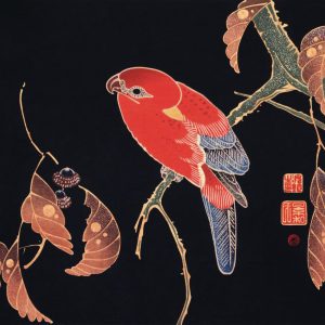 Red Parrot on the Branch of a Tree