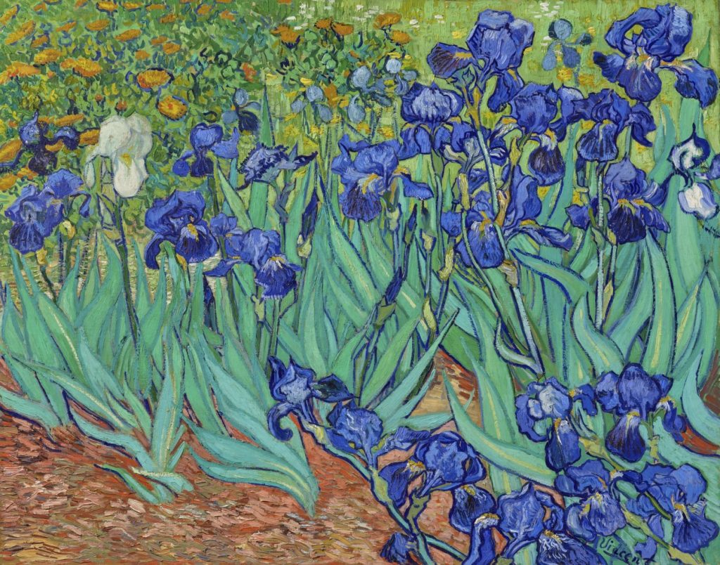 Irises