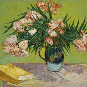 Oleanders