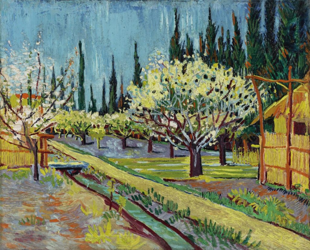Orchard Bordered by Cypresses