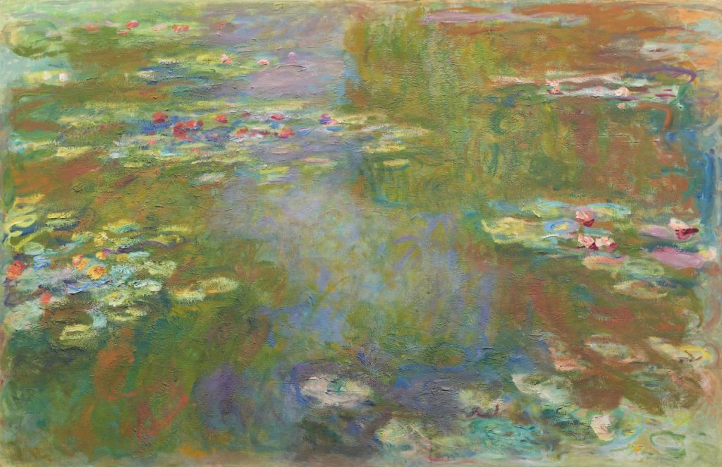 Water Lily Pond
