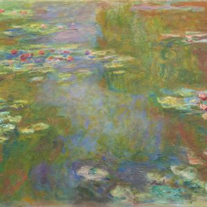 Water Lily Pond
