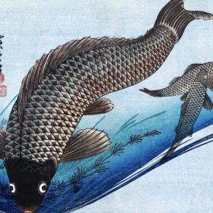 Carp