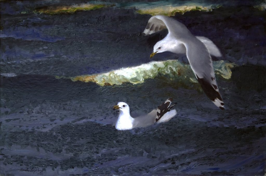 Gulls