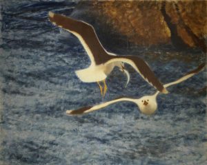 Lesser Black-backed Gulls Flying