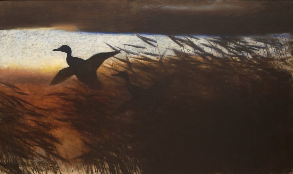 Summer Night, Ducks Lifting