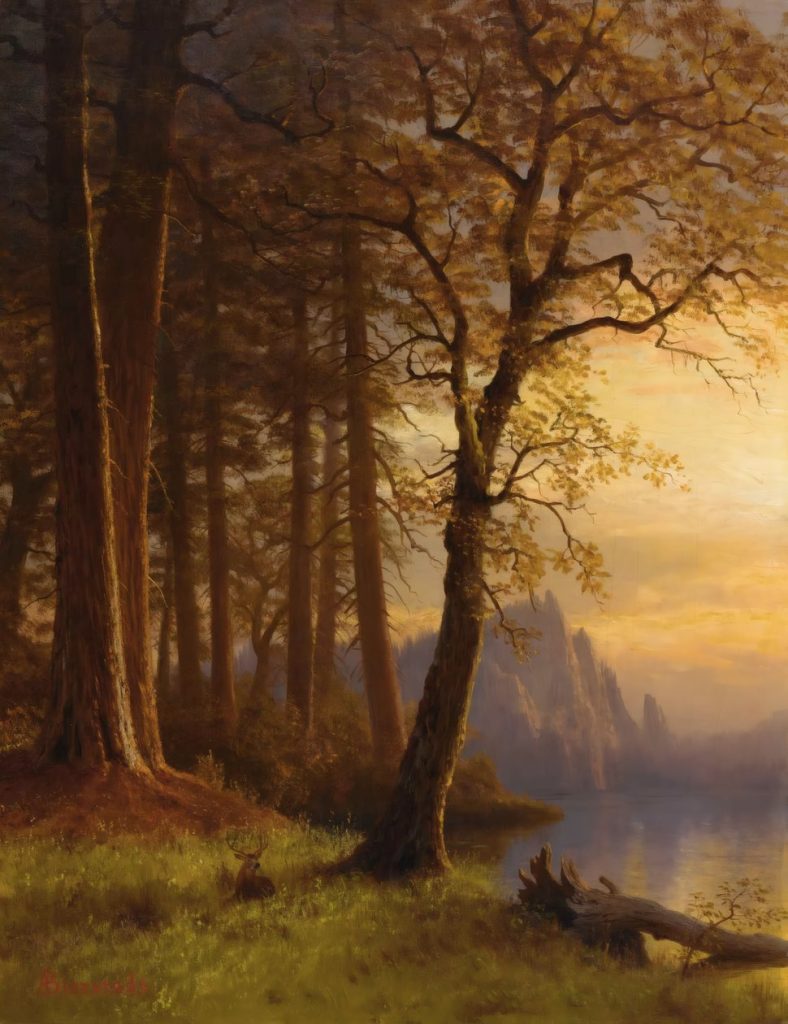 Sunset in California, Yosemite